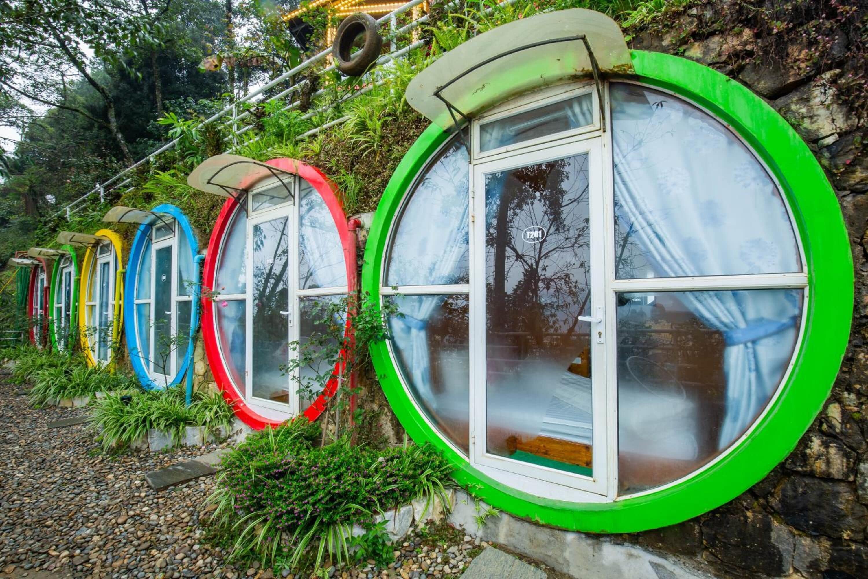 A row of circular windows with green frames, each with a white door and curtains, set against a stone wall with vegetation growing around them.