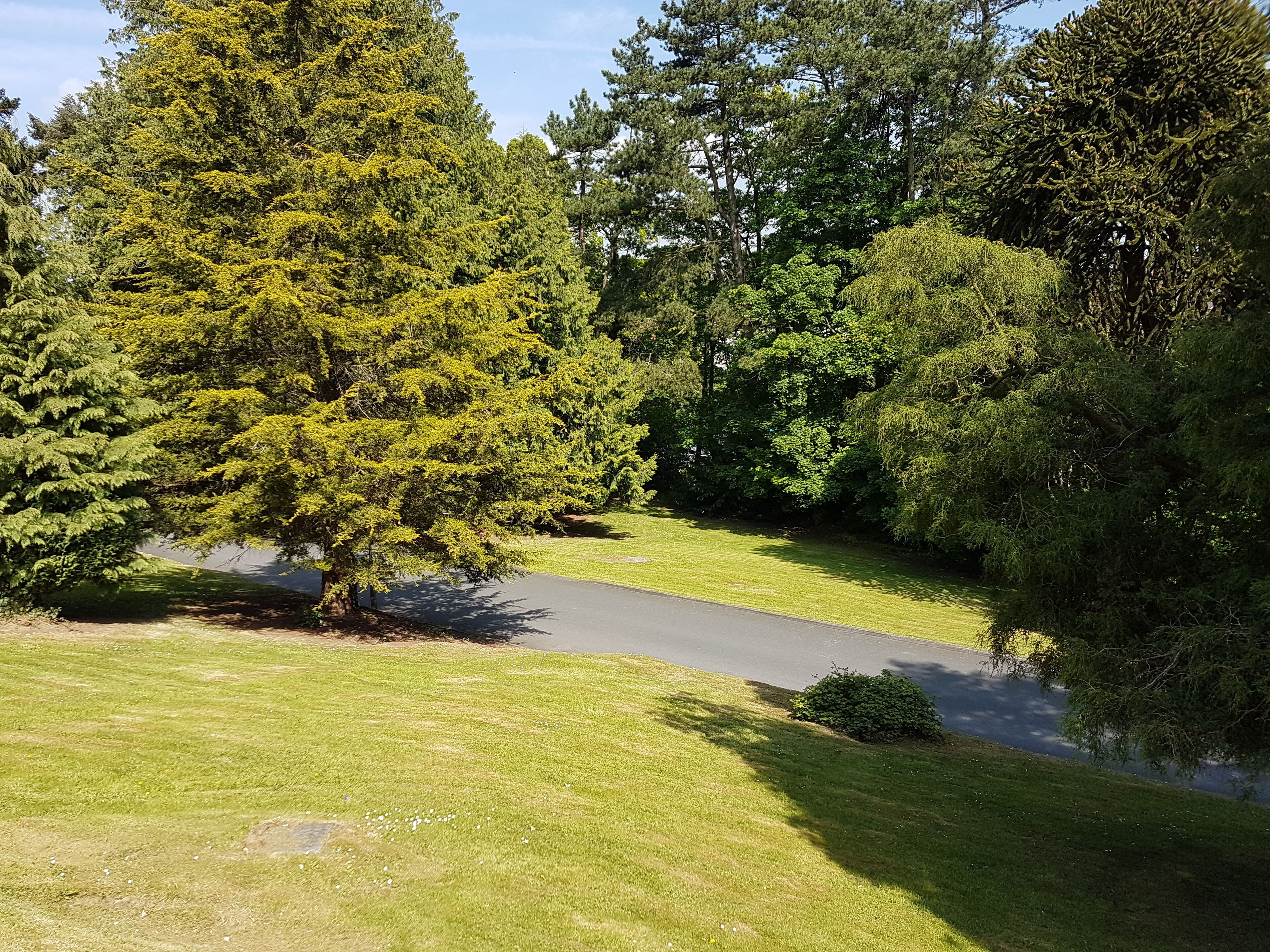 superior double room | view from room