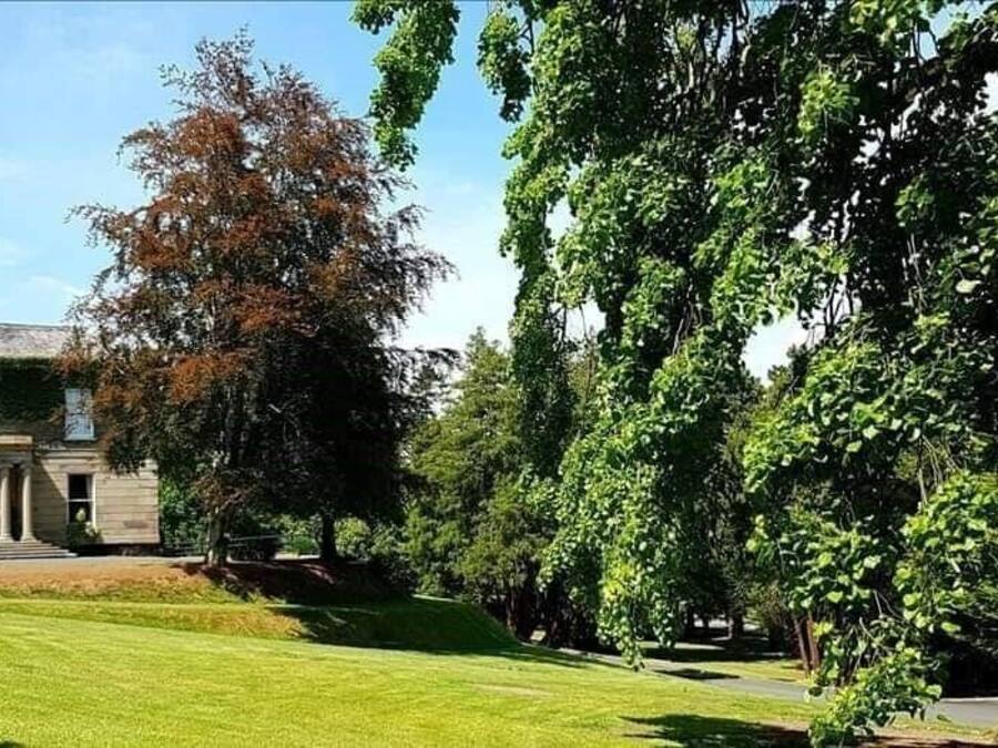 Jardín