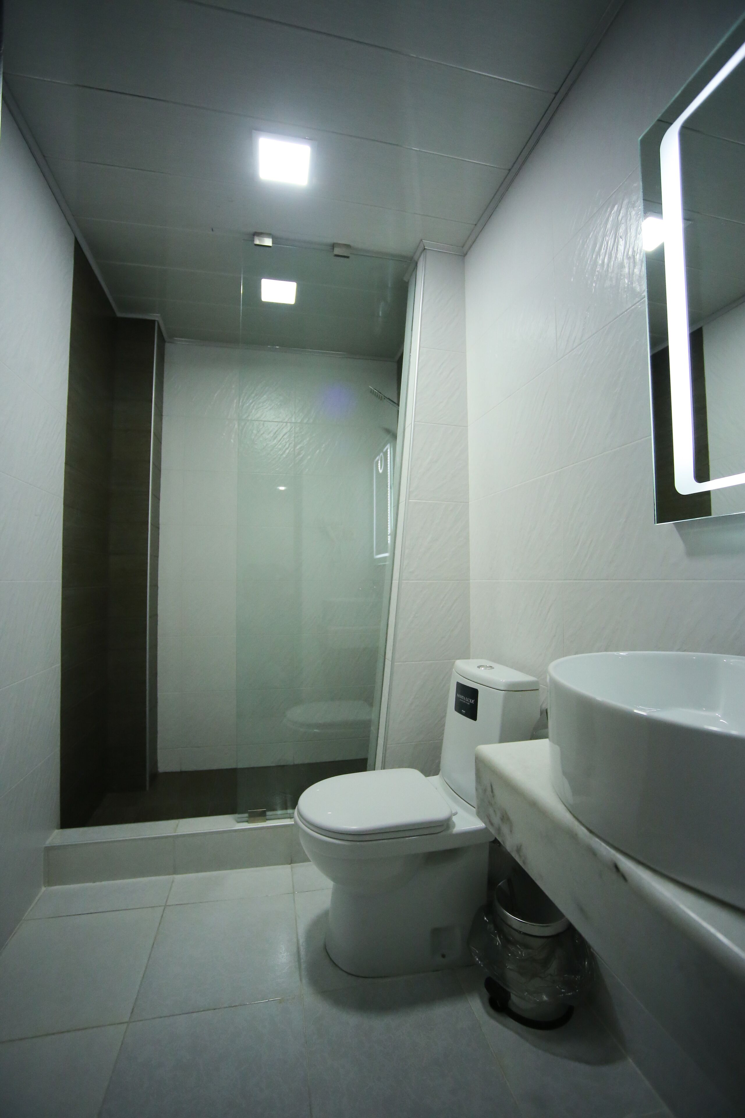 Un bagno con il water, un lavandino e una doccia.