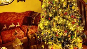 Ein geschmückter Weihnachtsbaum in einem Wohnzimmer mit Treppe, Sofa und Spiegel.