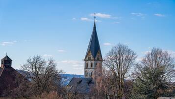 En kyrka med ett högt torn och ett mindre torn, omgiven av lövträd utan löv och bostadshus.