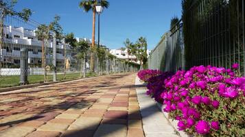 Terrein van de accommodatie