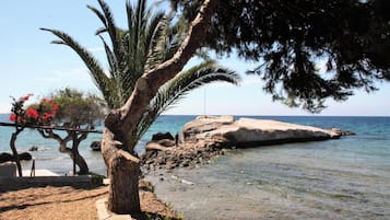 Chaises longues, serviettes de plage