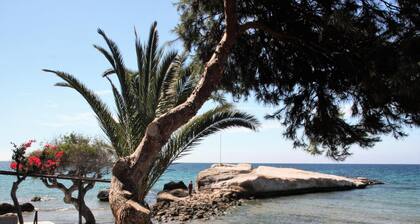 Casa Alexandra 4-person penthouse on the seafront in Mar de Pulpi.