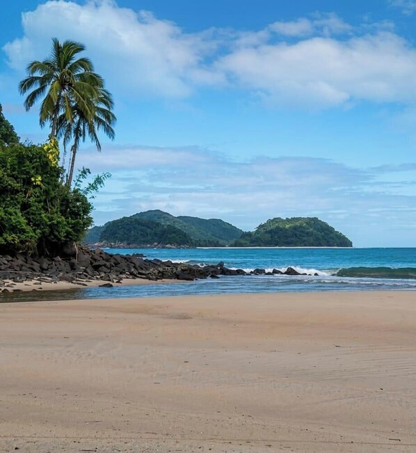 A beach with a palm tree, rocky shoreline, and distant green hills. - Charming house between Sahy and Baleia, 350 m from the beach, Wi-Fi.  (são sebastião)