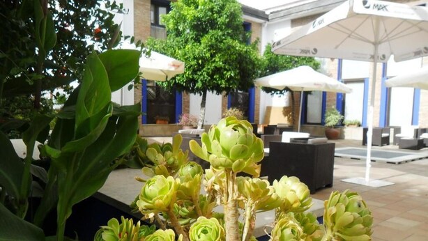 Property grounds - Hotel  Doña Aldonza (Santaella)