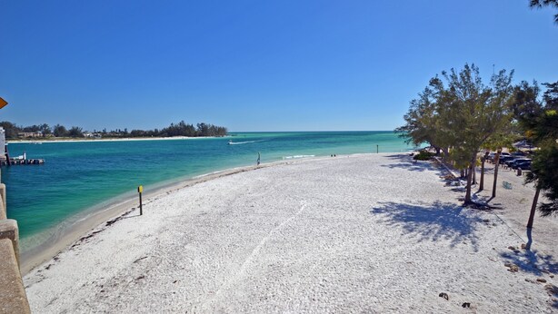 A beach with clear turquoise water, a sandy shore, and a few trees. - Beachside Vacation Rental Condo on Siesta Key with Pool Access (Siesta Key)