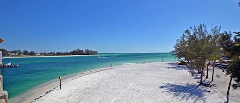 在海灘附近