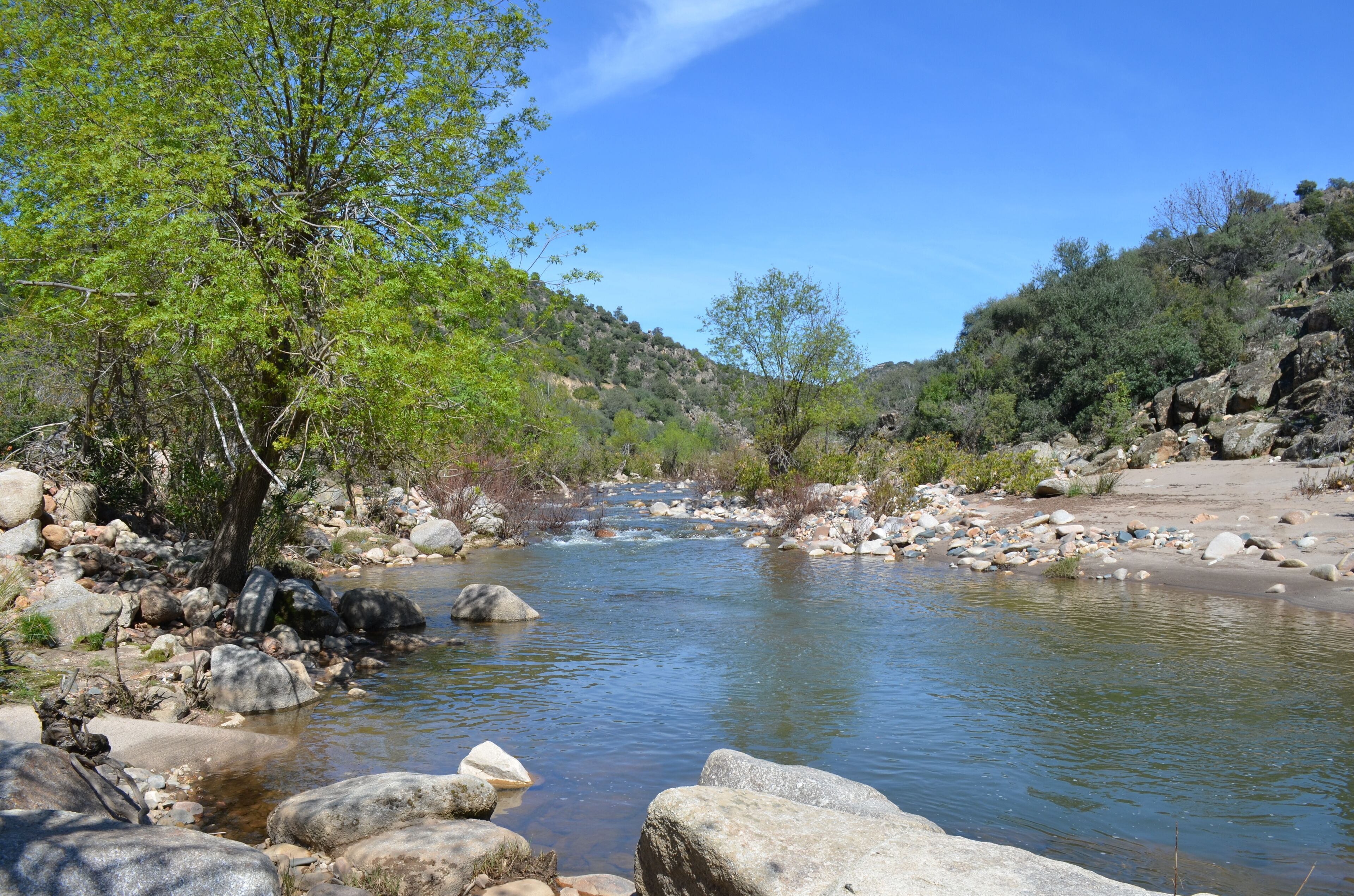 Une rivière qui traverse un paysage rocheux, avec des arbres et des collines en arrière-plan.