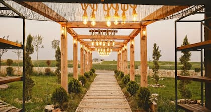 Göbeklitepe Bahce Saray