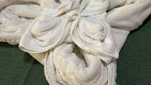 A neatly folded towel in the shape of a flower on a bed with green pillows and a white bedspread. - Hotel Iguacu (Dionisio Cerqueira)