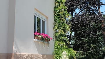 Detail eksterior