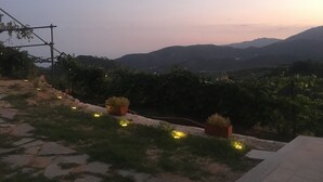 A vineyard with stone pathways and potted plants, surrounded by hills. - Agriturismo LaValleggia (Tovo San Giacomo)