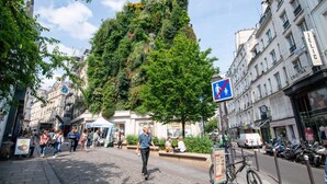 A cobblestone street with pedestrians, a tree-lined building, and a sign indicating a pedestrian zone. - Sweett | Clery - Two Bedroom Apartment, Sleeps 4 (Paris)