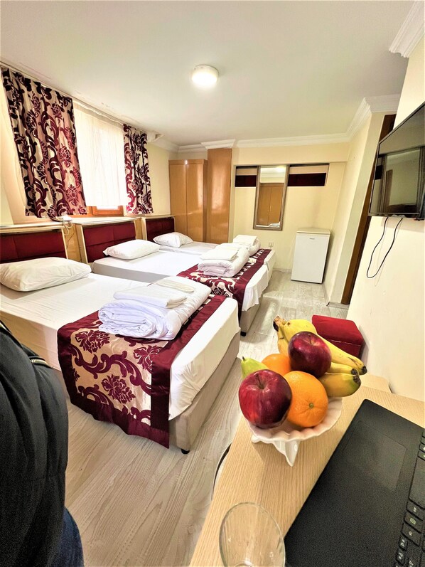 Standard Triple Room | Minibar, desk, iron/ironing board, free WiFi - Viva Hotel (Istanbul)
