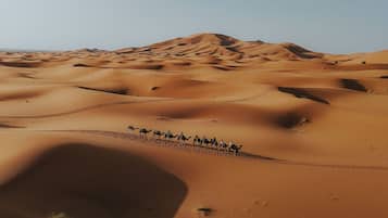 Vue depuis lâhĂ©bergement