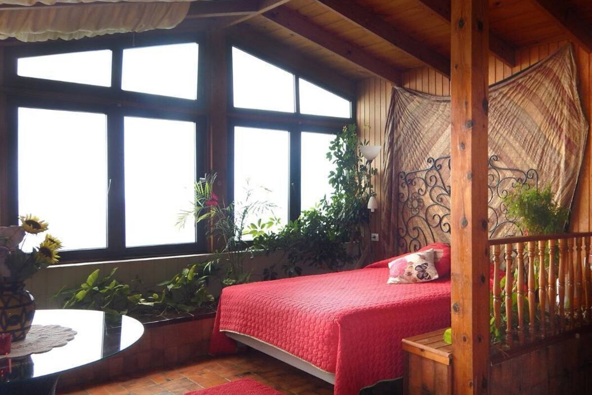 A cozy room with a bed, a small table, and a window overlooking greenery.