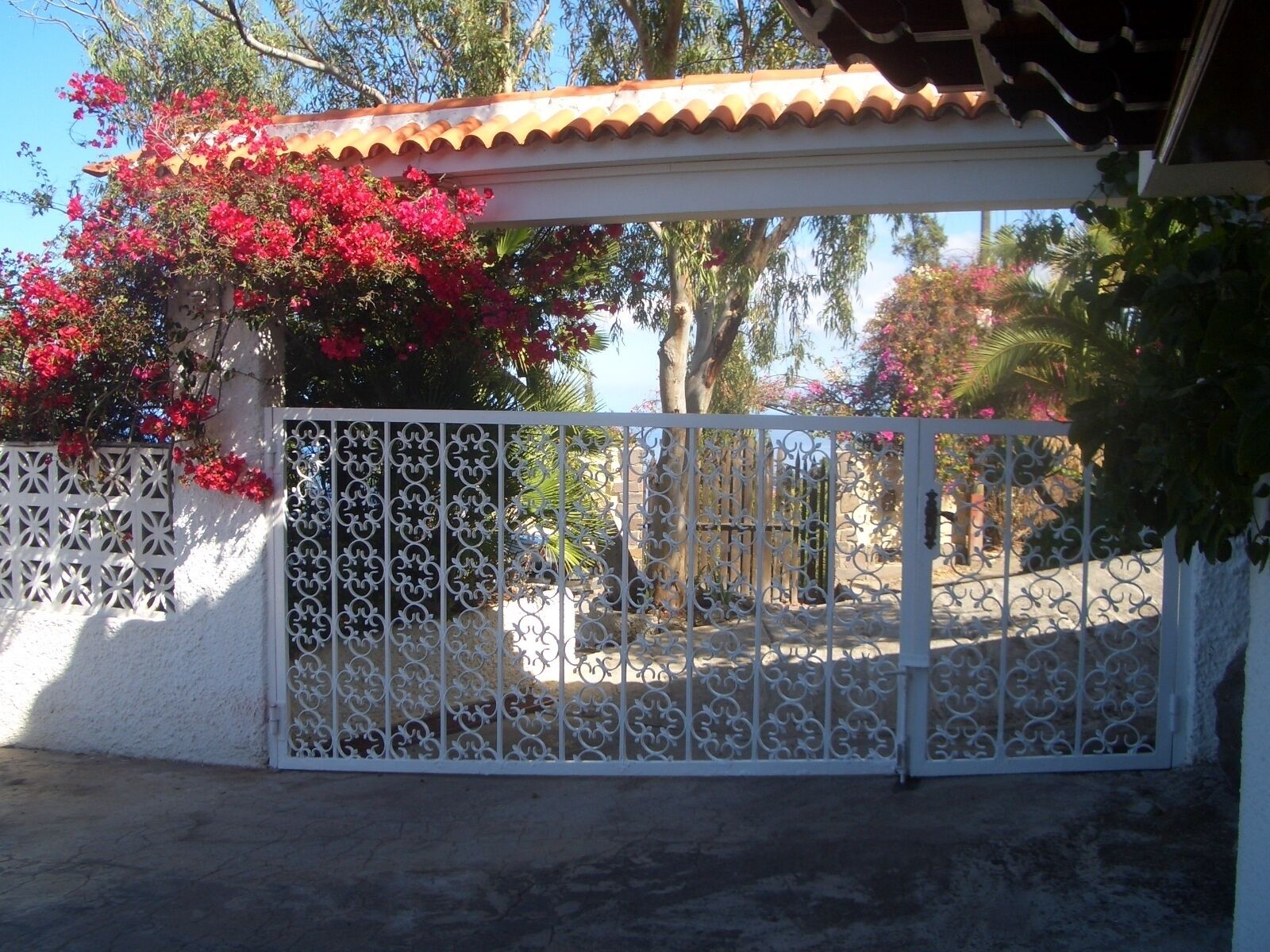 Photo - Willkommen im Paradies - Welcome in Paradise - Bienvenidos al paraíso