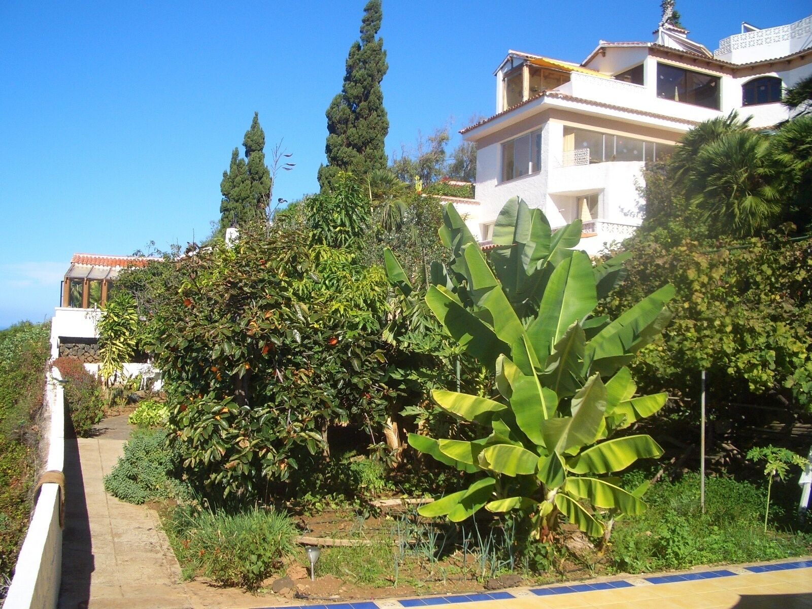 Photo - Willkommen im Paradies - Welcome in Paradise - Bienvenidos al paraíso