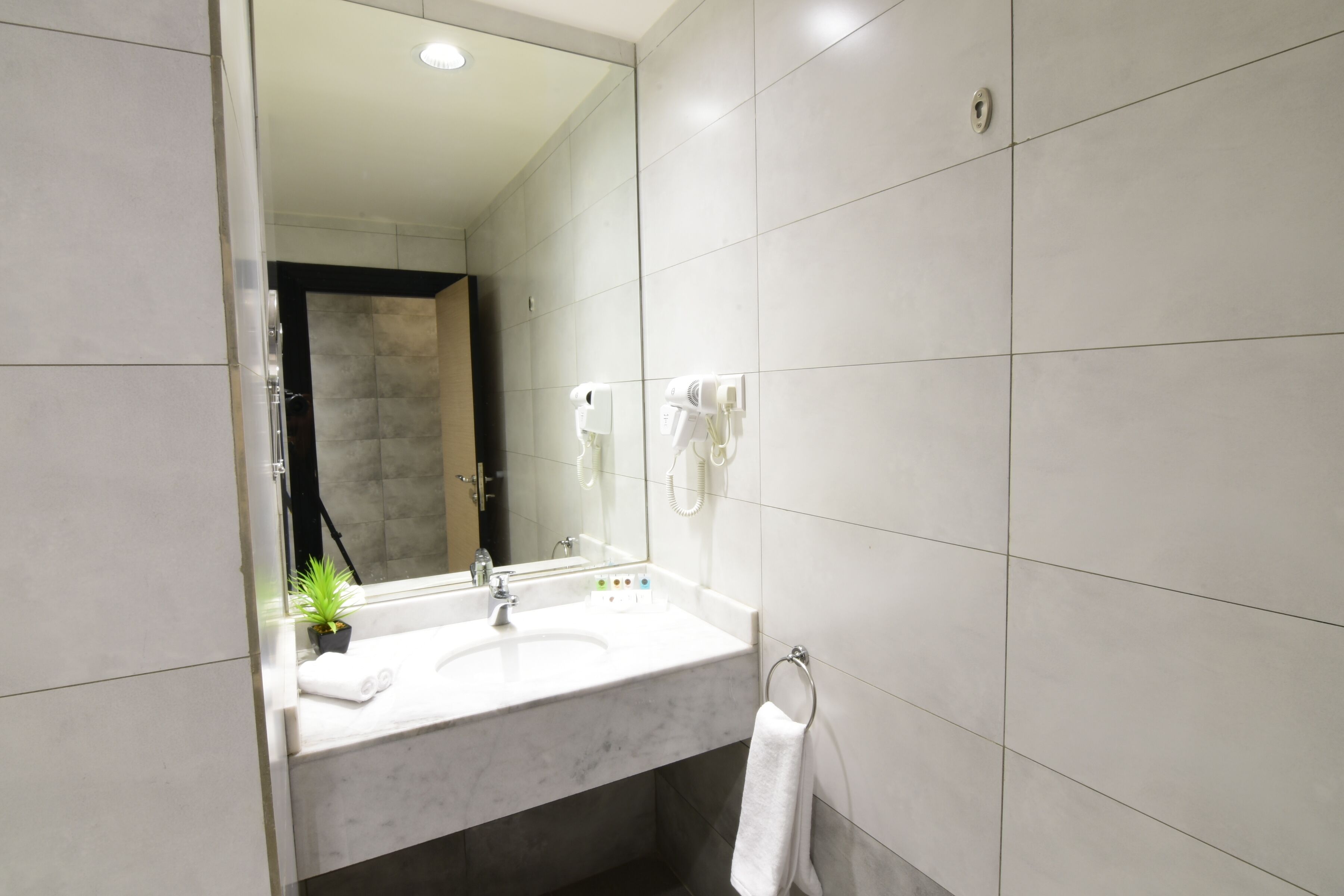 A modern bathroom with a large mirror, two sinks, a towel rack, and a small potted plant.