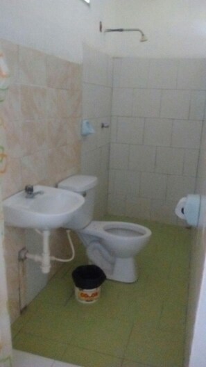 Ducha, toallas, jabón, papel higiénico