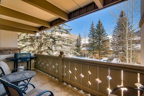 Property grounds - Villa Cortina in Vail Village-Fantastic Location! (Vail)