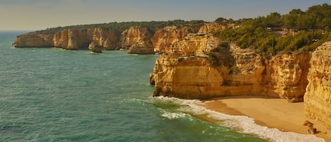 Plage à proximité, chaises longues, serviettes de plage