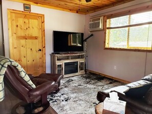 TV connectée, cheminée, lecteur de DVD, livres