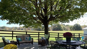 An outdoor patio with wicker furniture, a round table, and a potted plant.