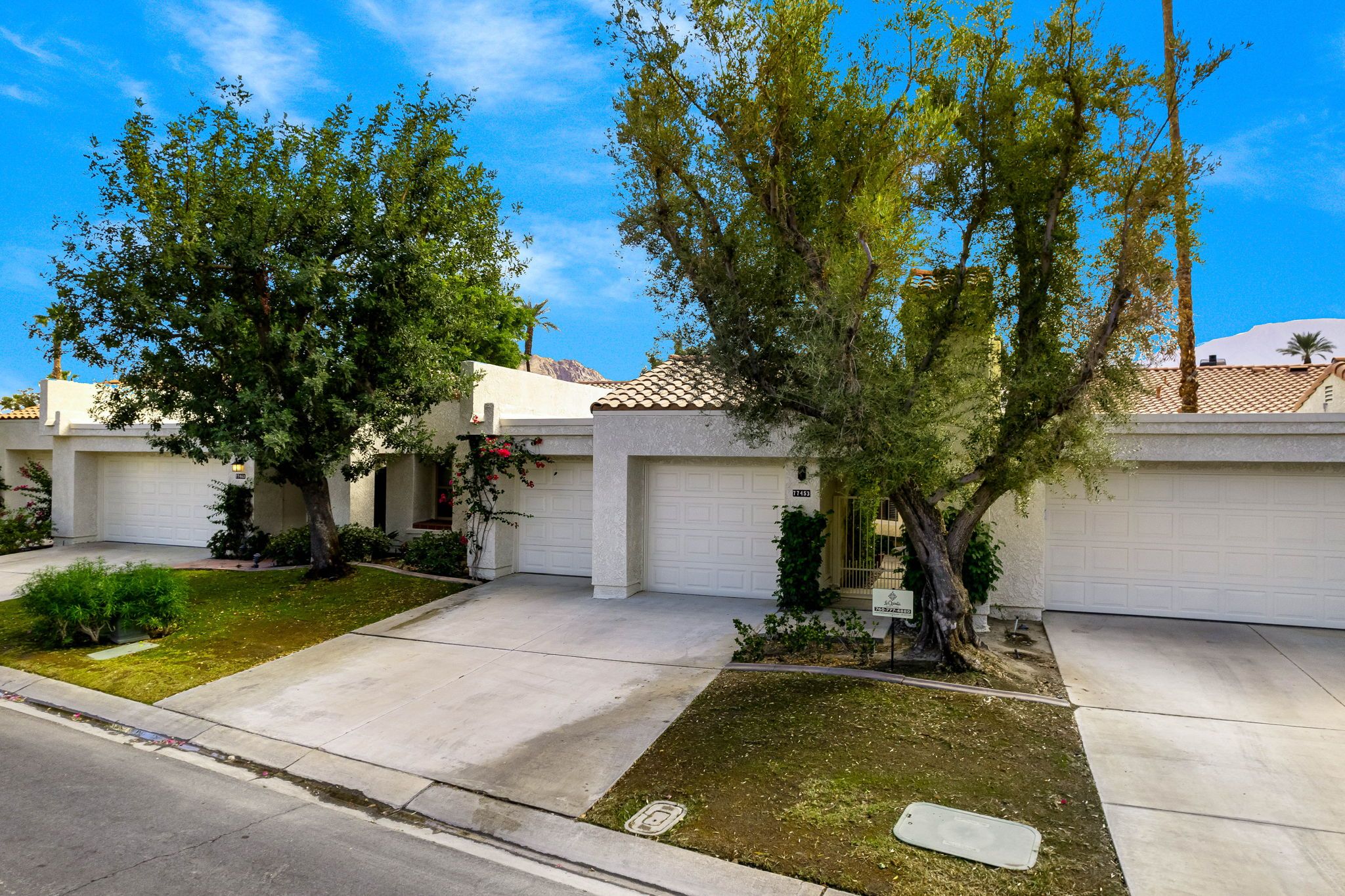 A residential street with two houses, each with a garage door, a small front yard, and a tree.