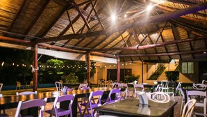An outdoor dining area with tables and chairs, a thatched roof, and string lights.