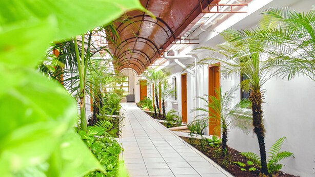 A corridor lined with plants and a tiled floor, leading to a room with a curved ceiling and white walls.