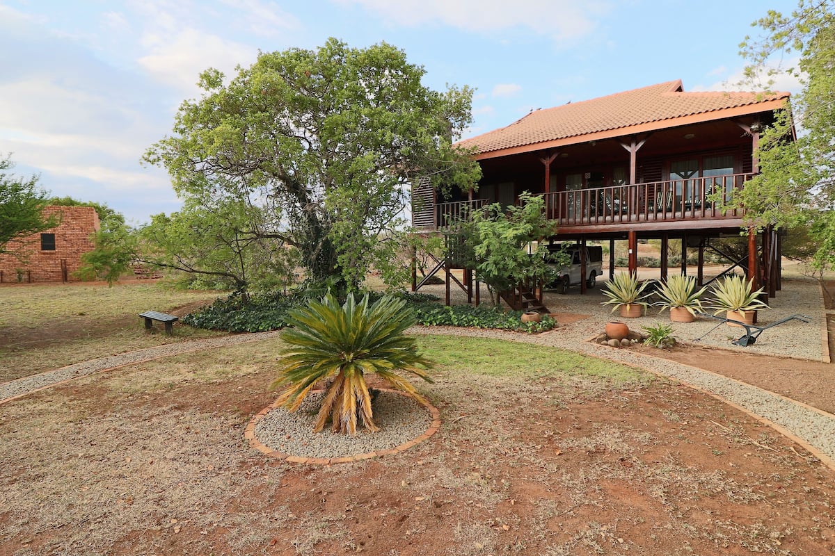 A wooden house with a balcony, surrounded by a garden with a palm tree and potted plants.