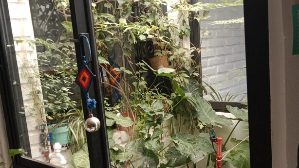 Una ventana con vistas a un jardín, una computadora portátil sobre un escritorio y una pequeña cesta.