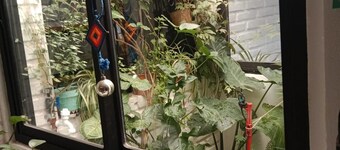 Lo de Sara. Small house in San Javier fothills