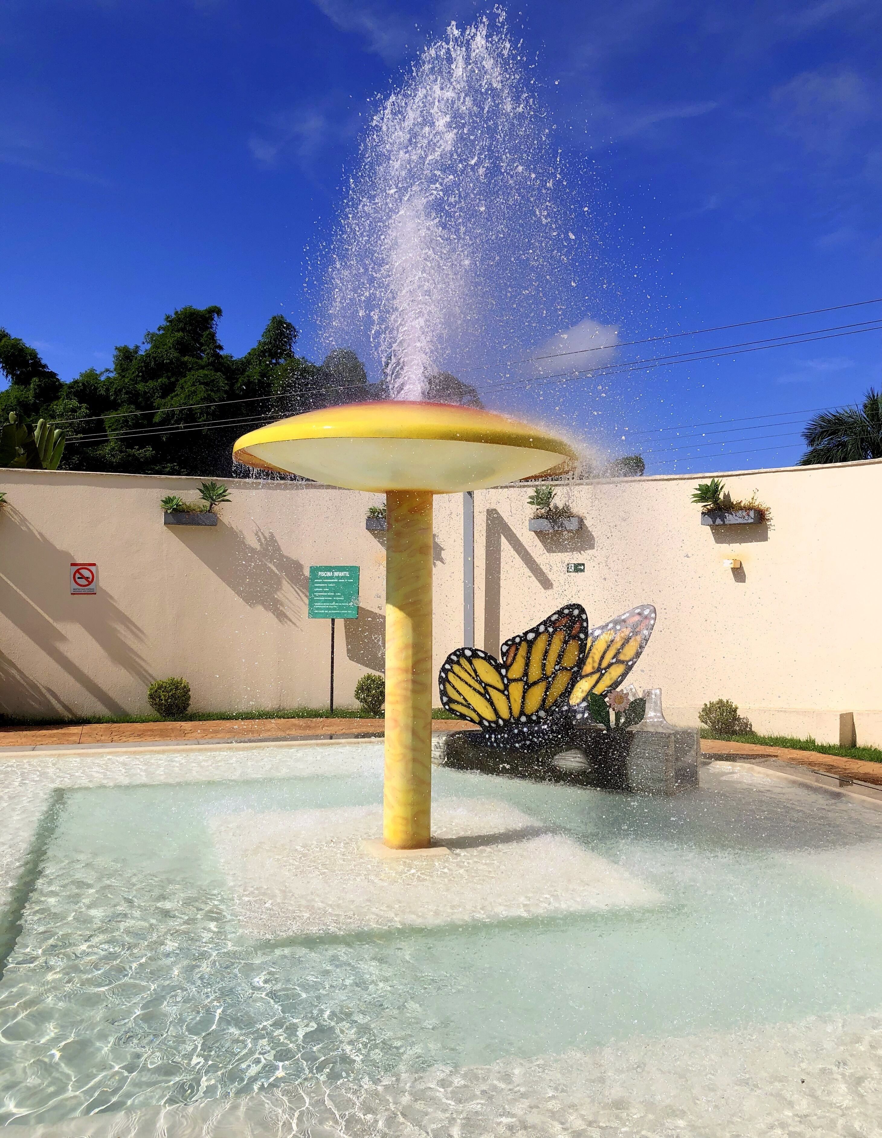 Una fuente con diseño de mariposa, rodeada por una piscina cristalina.