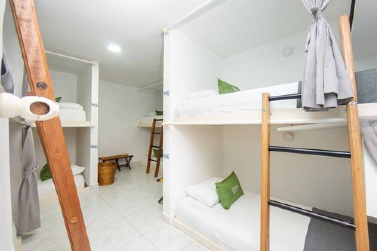 A bunk bed room with a ladder, a desk, and a chair.