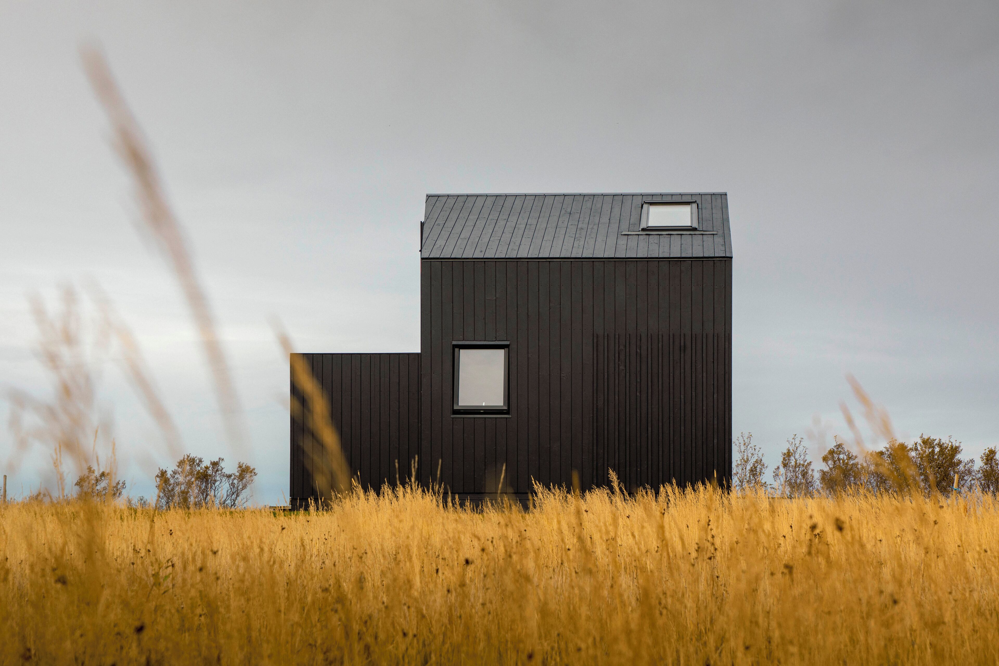 A modern, dark-colored building with a flat roof and two windows, surrounded by tall, golden grass.