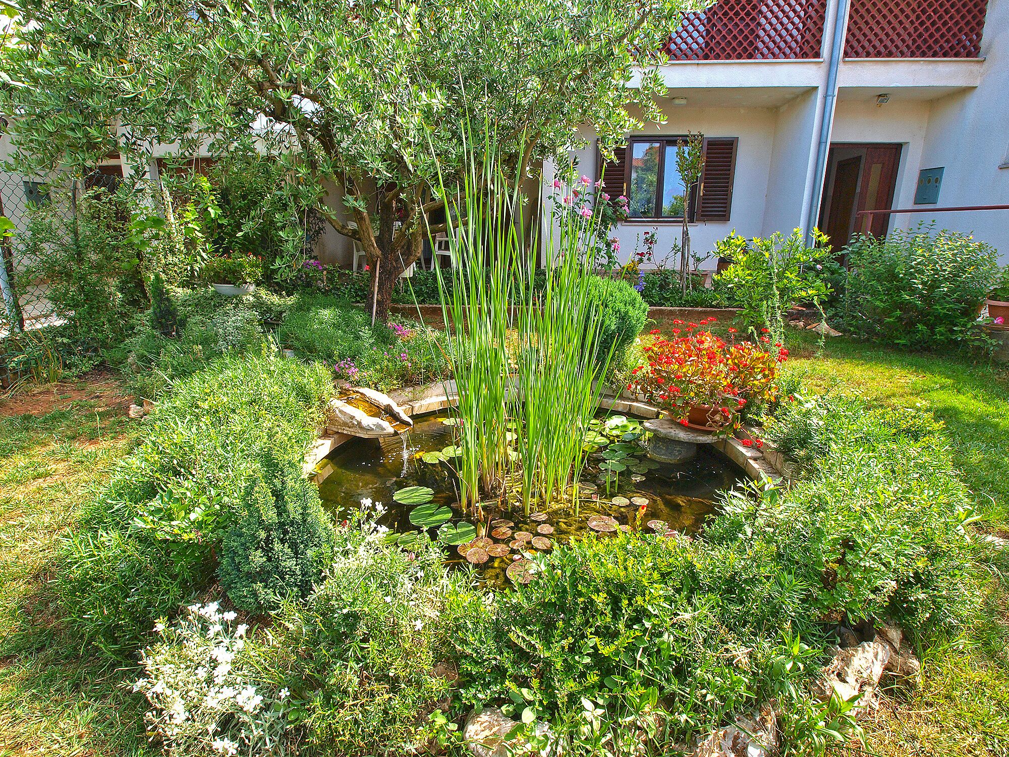 Ein Garten mit Teich, diversen Pflanzen und einem Gebäude im Hintergrund.