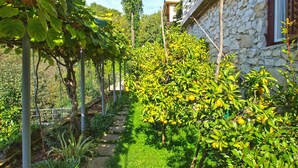 A stone building with a garden path leading to a house. - Apartment 154/328 (Istria - Rabac), 300m from the beach (Rabac)