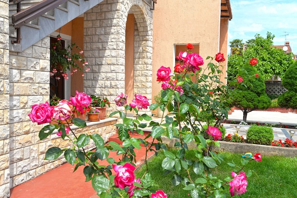 Detalle exterior