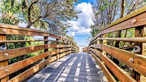 A wooden bridge with railings, surrounded by trees and vegetation.