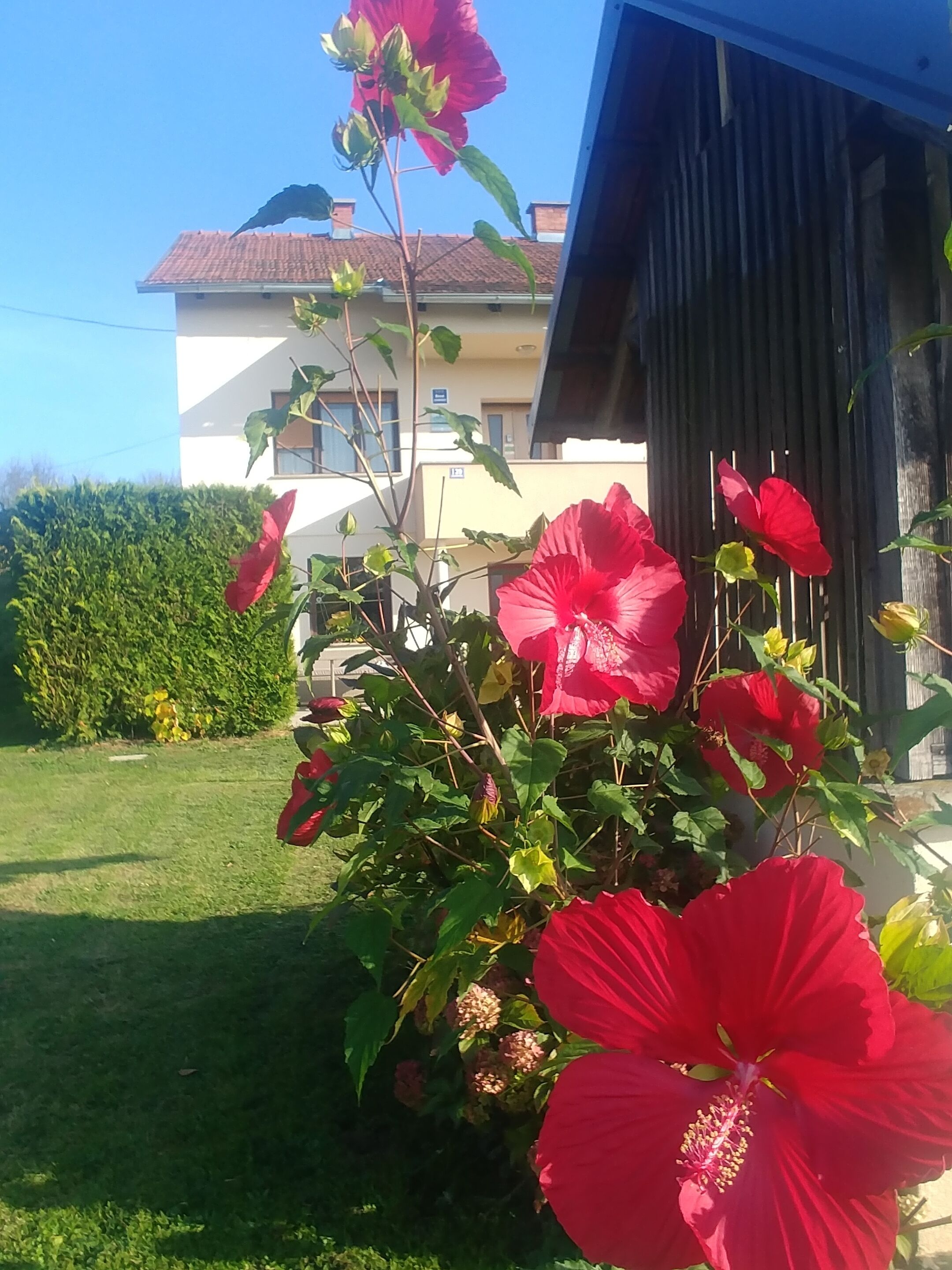 Details aan de buitenkant