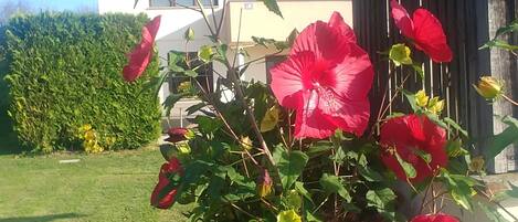 DĂ©tail de lâextĂ©rieur