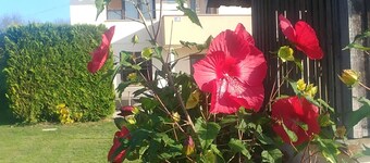 Apartment Arena (4+2), very close to the wellness centra Sv. Martin