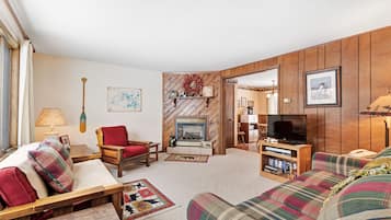 Télévision, cheminée, lecteur de DVD