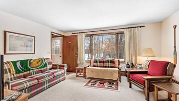 TV, fireplace, DVD player, video library