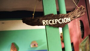 A reception sign with the word "RECEPCION" on a wooden plank, mounted on a teal pillar, with a blurred interior of a building in the background. - Hotel Colorado Playa Del Carmen (Playa del Carmen)