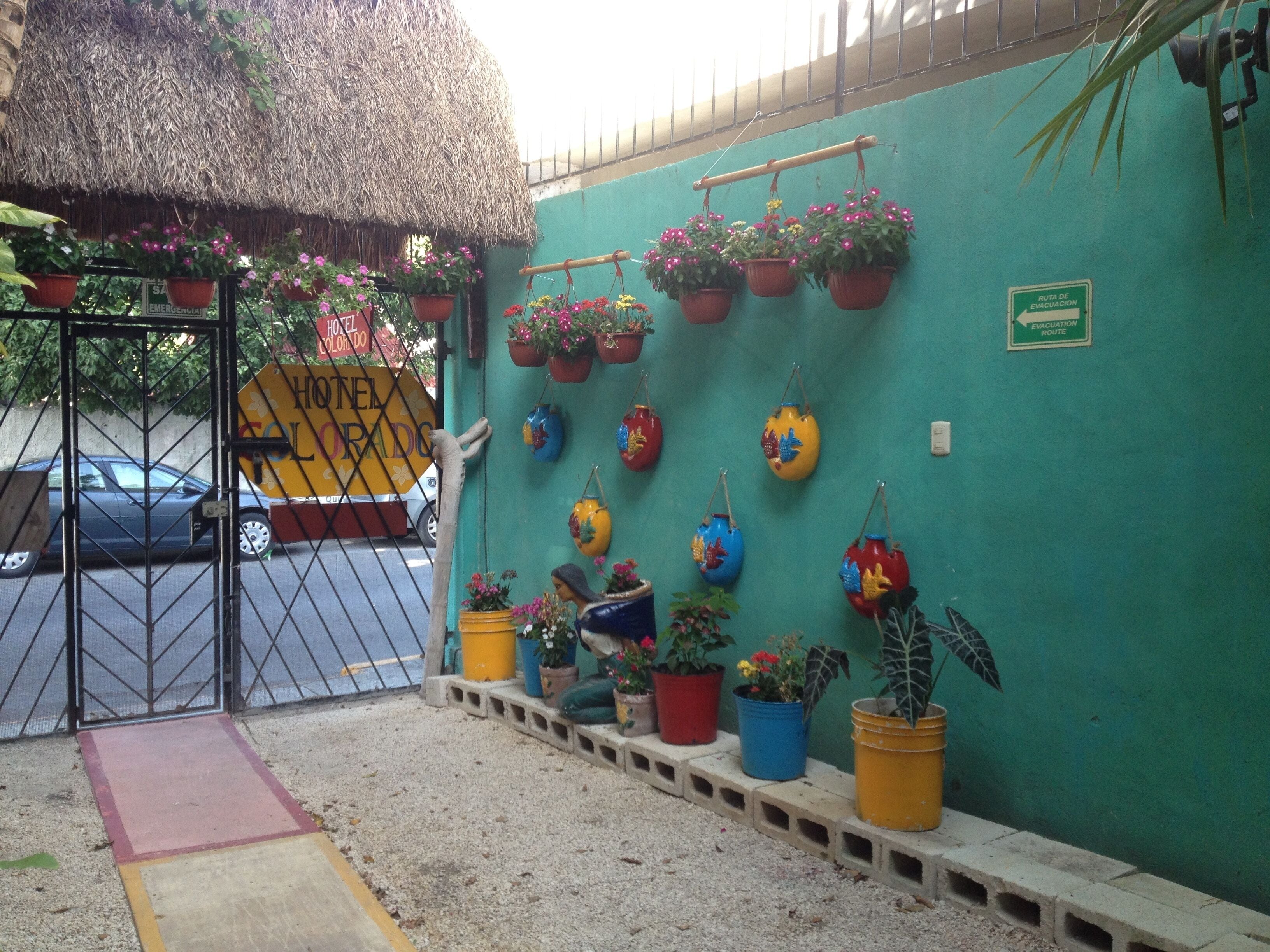 Foto - Hotel Colorado